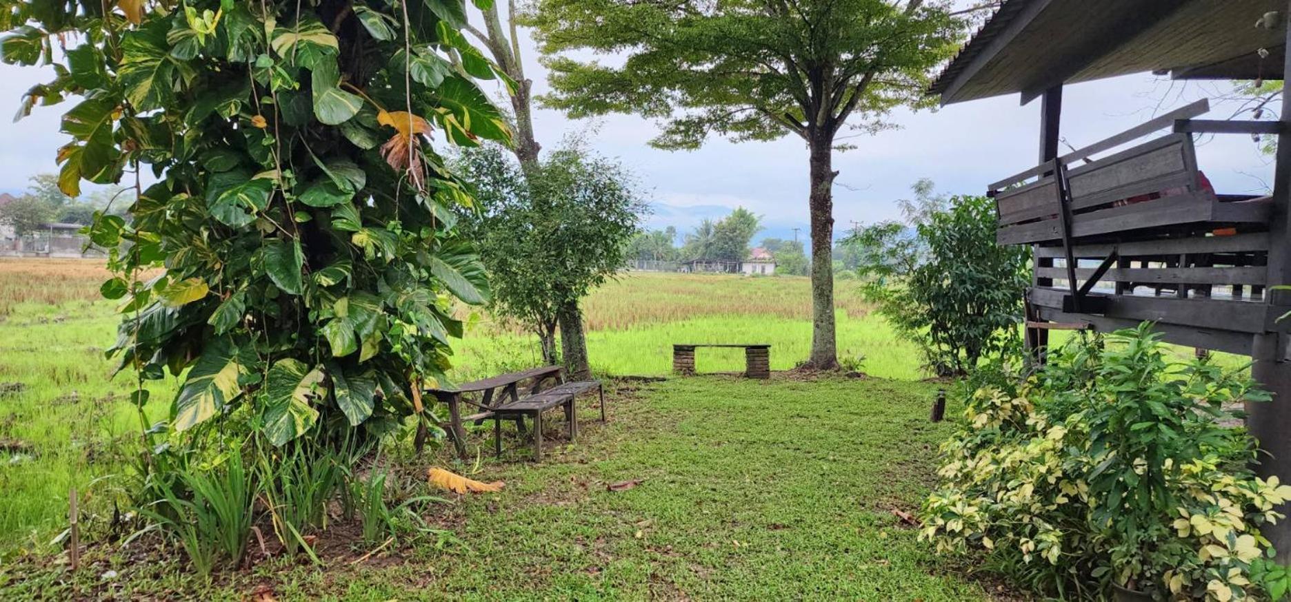 Tung Tong Homestay & Camping Mae Rim Exterior foto