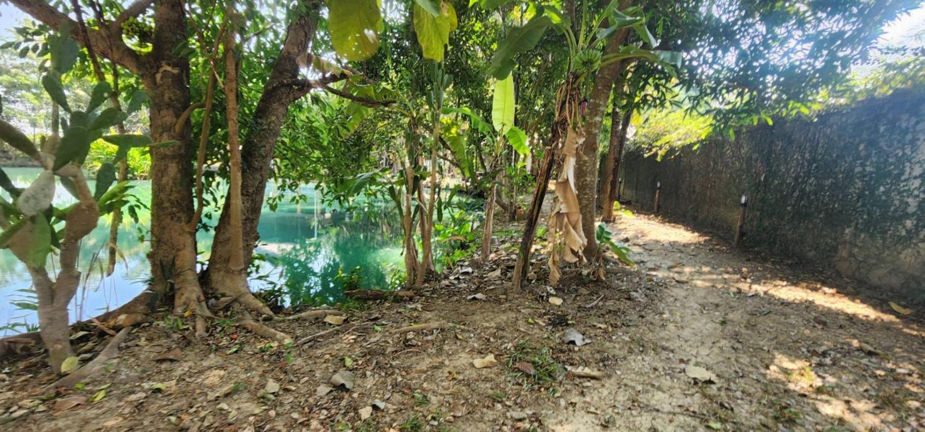Tung Tong Homestay & Camping Mae Rim Exterior foto