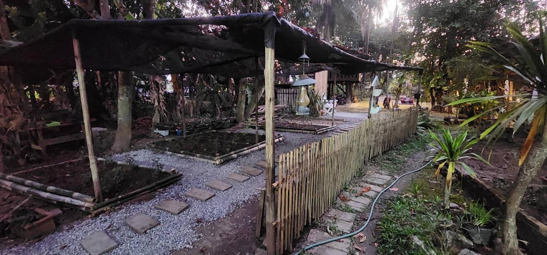 Tung Tong Homestay & Camping Mae Rim Exterior foto