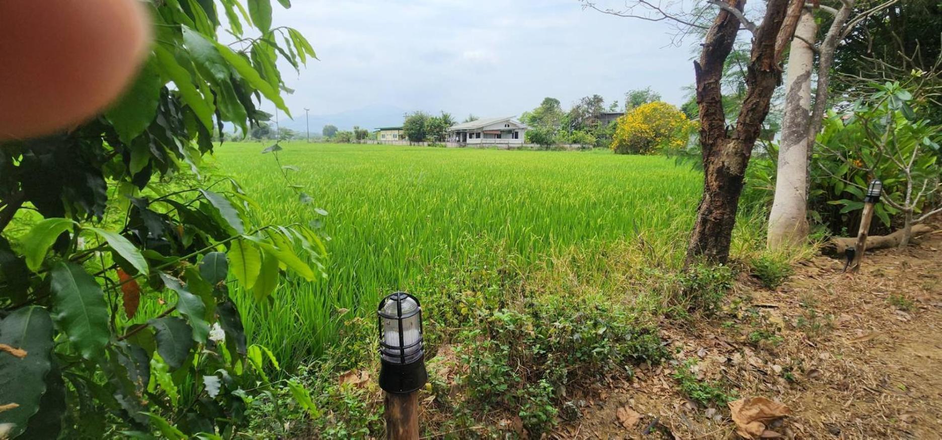 Tung Tong Homestay & Camping Mae Rim Exterior foto