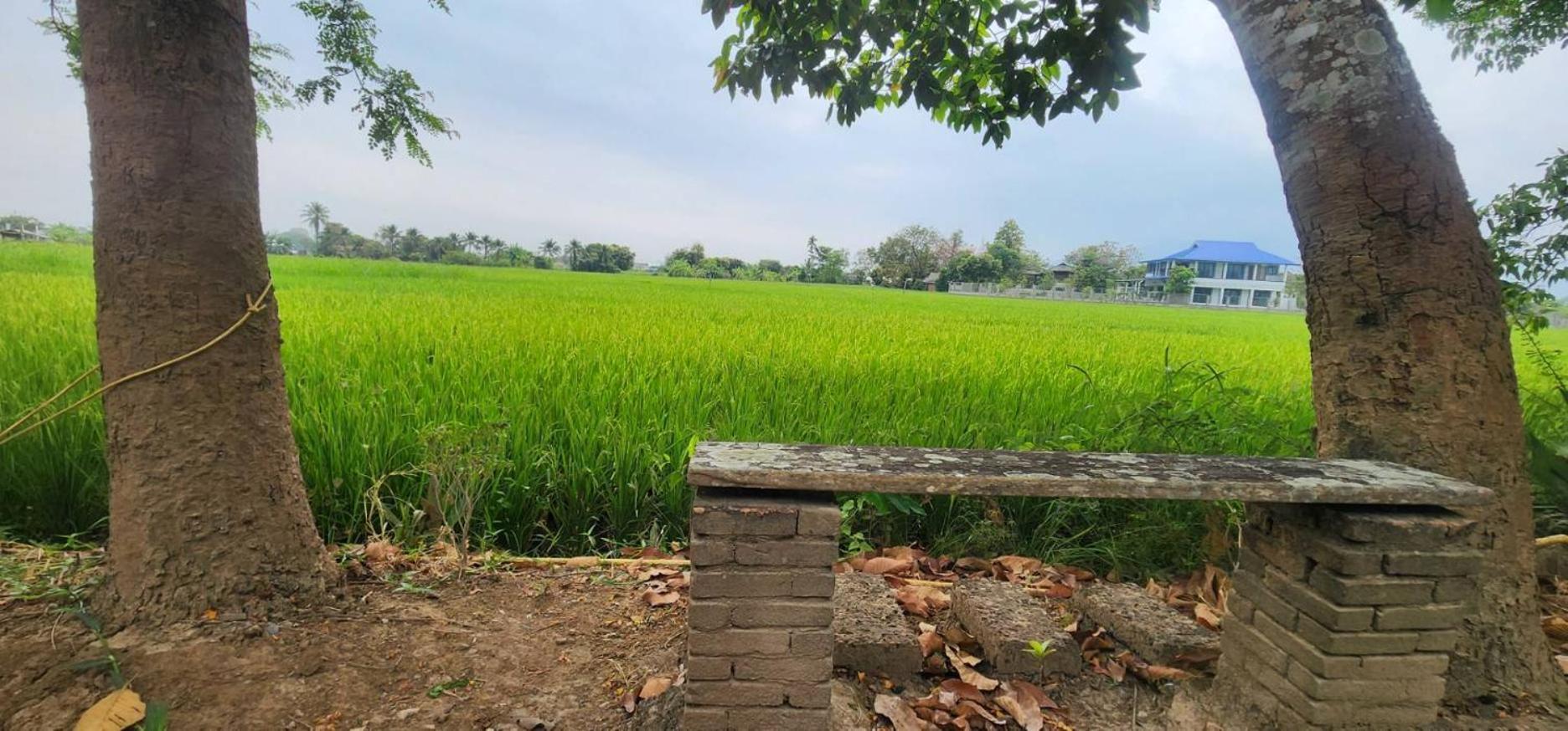 Tung Tong Homestay & Camping Mae Rim Exterior foto